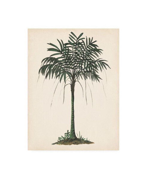 Melissa Wang Palm Tree Study II Canvas Art - 19.5" x 26"