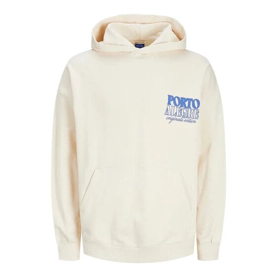 JACK & JONES Mykonos Type hoodie