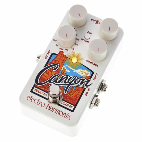 Electro Harmonix Canyon Delay & Looper