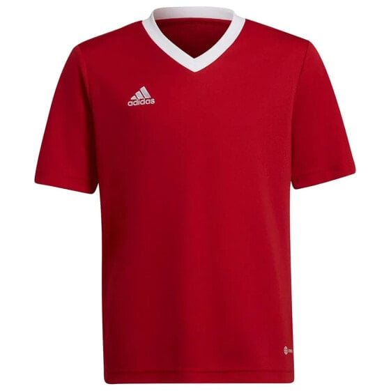 ADIDAS Entrada 22 short sleeve T-shirt