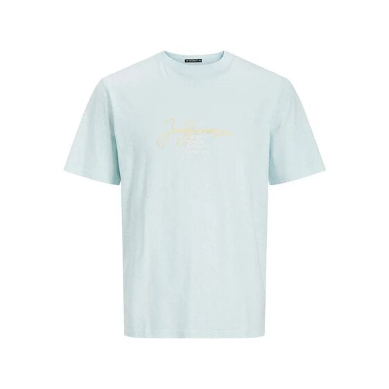 JACK & JONES Aruba Branding short sleeve T-shirt