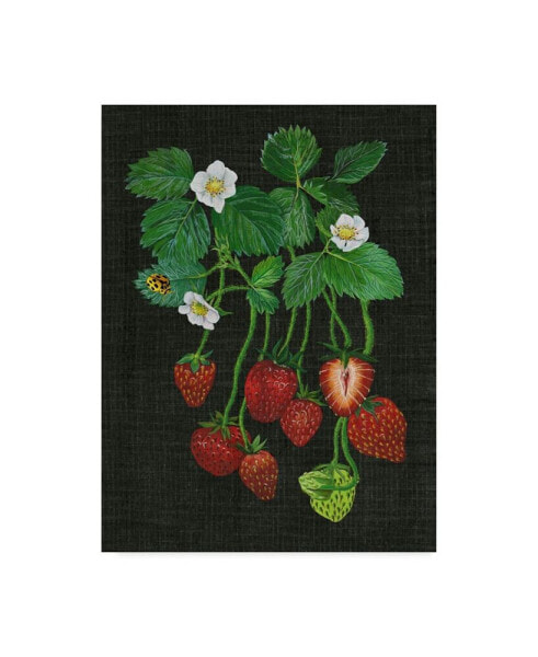 Melissa Wang Strawberry Fields II Canvas Art - 20" x 25"