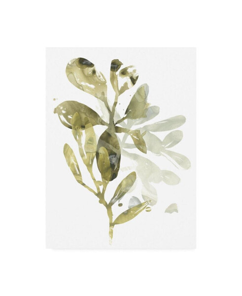 June Erica Vess Lichen and Leaves I Canvas Art - 37" x 49"