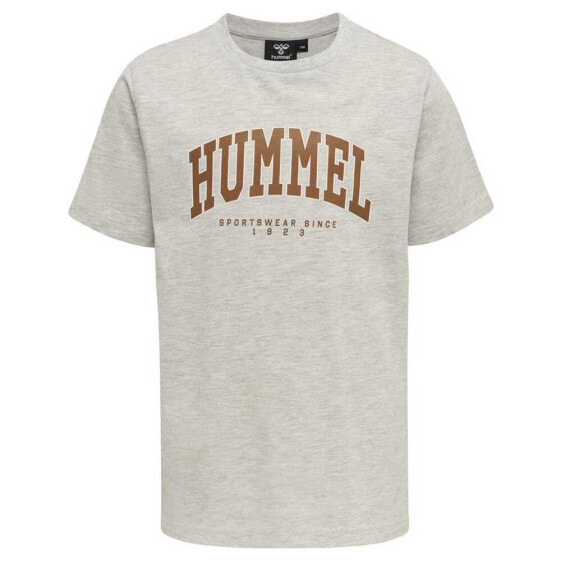 Футболка мужская Hummel hmlFAST короткий рукав 2 штуки