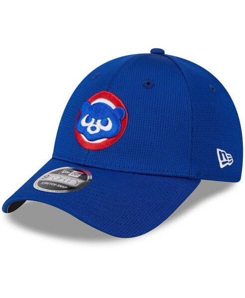 Men's Royal Chicago Cubs 2024 Batting Practice 9FORTY Adjustable Hat