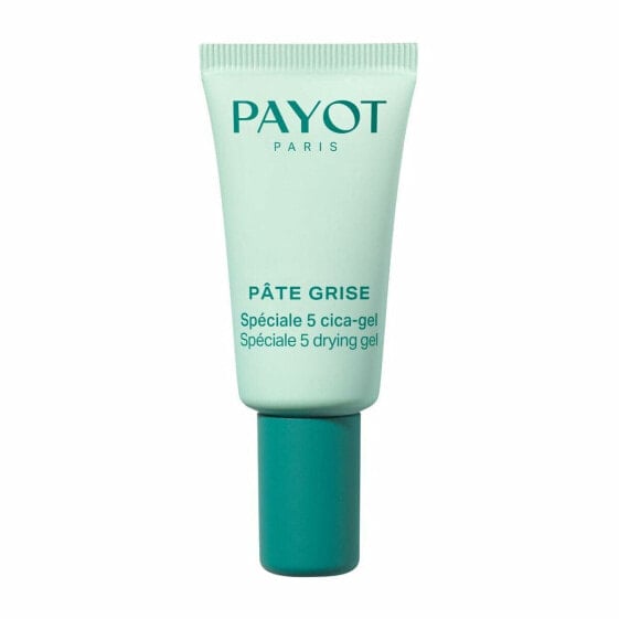 Day Cream Payot PÂTE GRISE