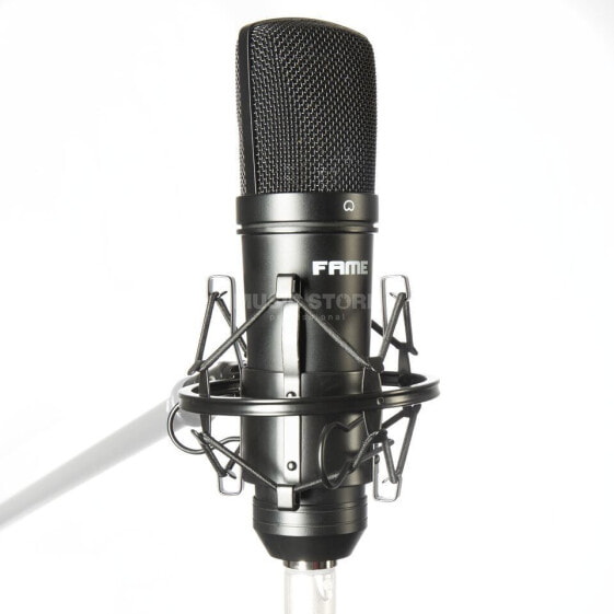 Fame Audio Fame Studio C05 Condenser Microphone