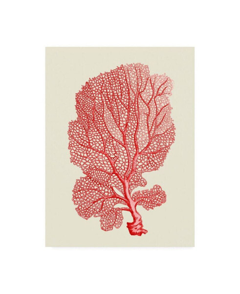 Fab Funky Red Corals 1 B Canvas Art - 19.5" x 26"