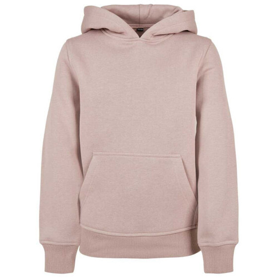 BUILD YOUR BRAND Basic hoodie