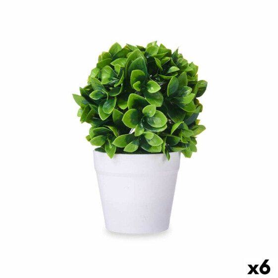 Decorative Plant Plastic (6 Units)