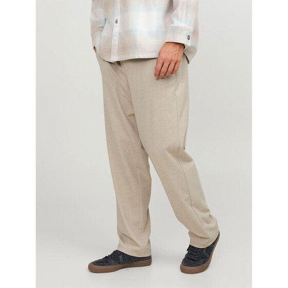 JACK & JONES Karl Pierre chino pants