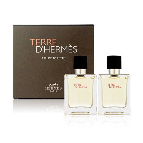 Парфюмерный набор Hermes Terre D´ Hermes - EDT 2 x 50 ml