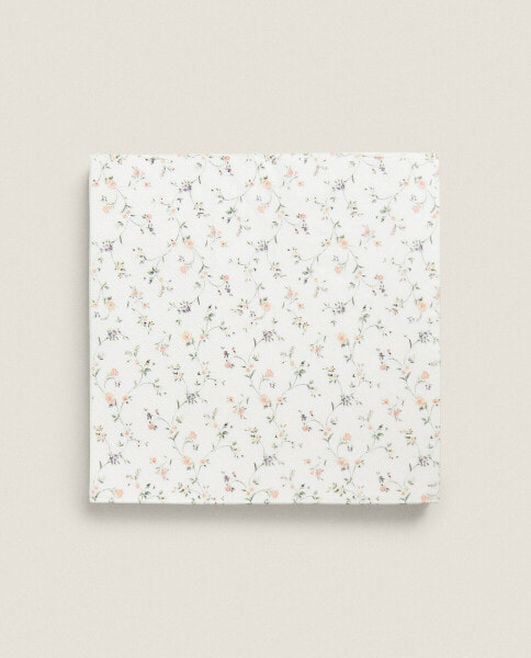 Paper napkins (pack of 20)