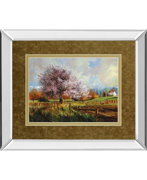 Spring Blossoms by Larry Winborg Mirror Framed Print Wall Art, 34" x 40"