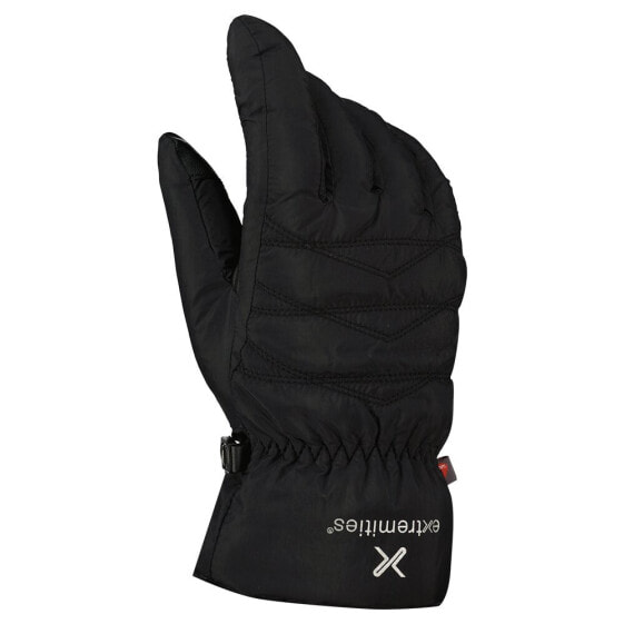 EXTREMITIES Paradox Waterproof gloves