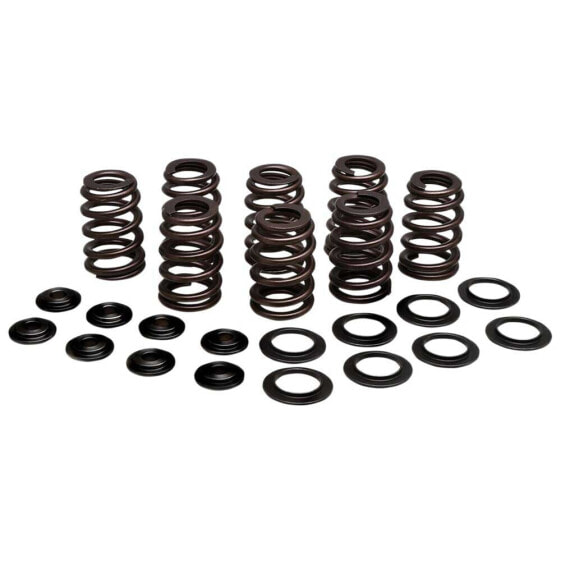 KIBBLEWHITE 20-21050 Valve Springs&Washers