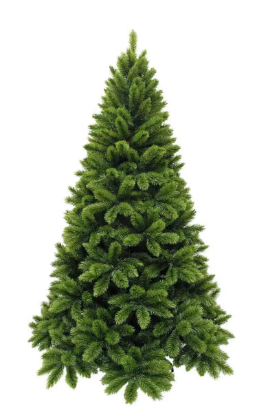 Weihnachtsbaum Tsuga