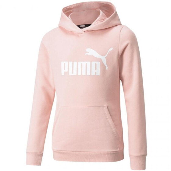 Толстовка Puma ESS Logo Hoodie Fla
