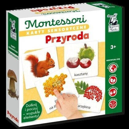 Edgard Karty sensoryczne Montessori Przyroda Kapitan Nauka