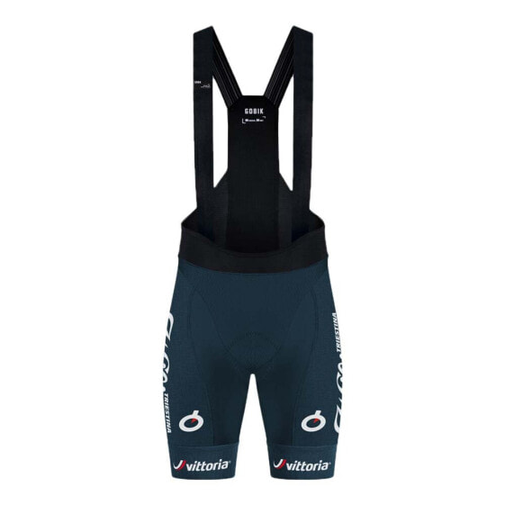 GOBIK Absolute Wilier 2024 bib shorts