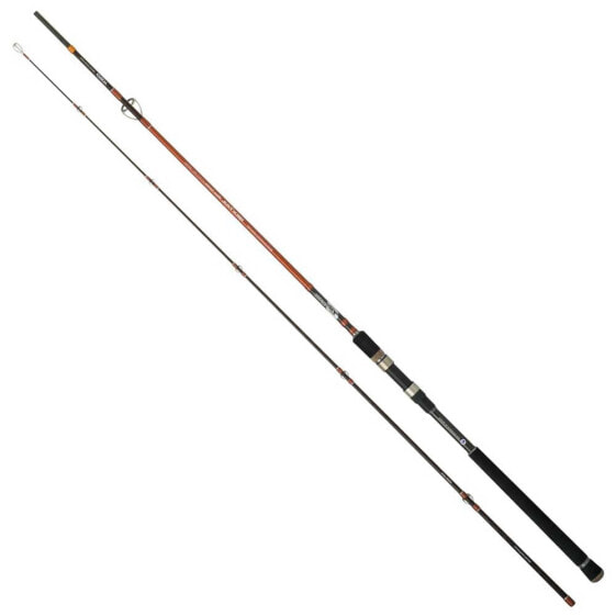 CINNETIC Rextail Sea Bass spinning rod