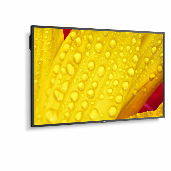 Монитор NEC 43" 4K Ultra HD LED IPS 50-60 Гц, арт. 60005048