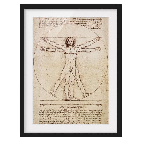 Bild Da Vinci I