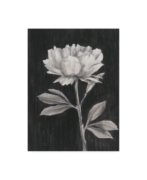 Ethan Harper Black and White Flowers III Canvas Art - 36.5" x 48"