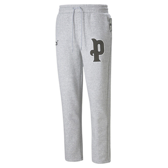 Puma Team Sweatpants Mens Grey Casual Athletic Bottoms 53430804