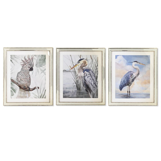 Картина птицы Средиземноморье (3 шт.) DKD Home Decor