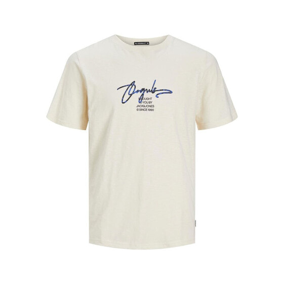 JACK & JONES Aruba Branding short sleeve T-shirt