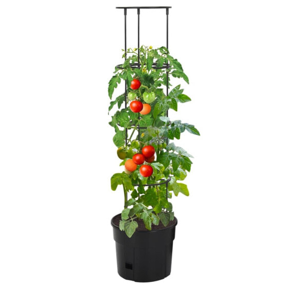 Tomatentopf 3014123