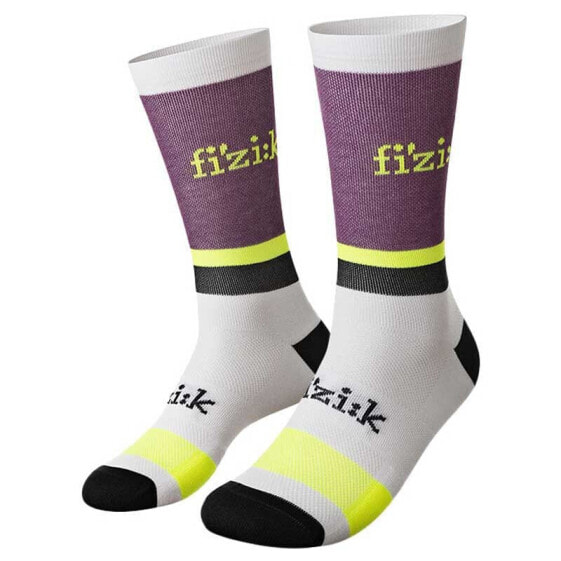 FIZIK Team Edition socks