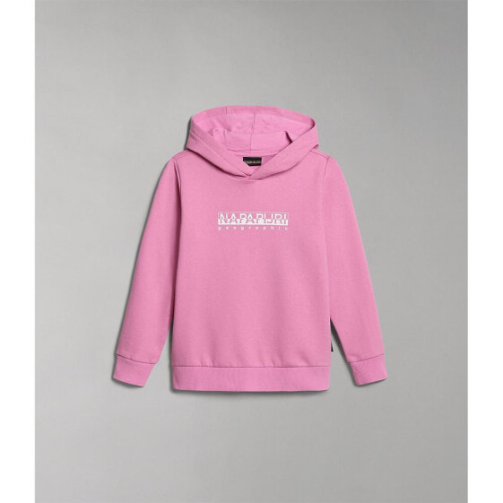 NAPAPIJRI B-Box 1 hoodie