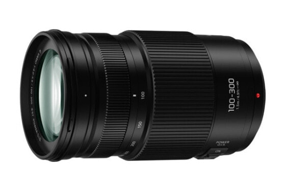 Panasonic Lumix G X Vario H-FSA100300E - Telephoto zoom lens - 17/12 - 100 - 300 mm - Image stabilizer - Micro Four Thirds (MFT)