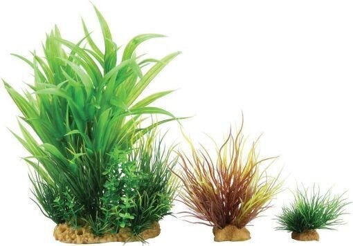 Zolux Dekoracja roślinna PlantKit Wiha model 2 (352141)