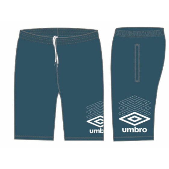 Спортивные шорты мужские Umbro TERRACE 66209U синие