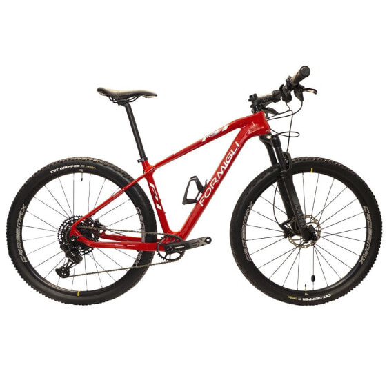 FORMIGLI R1 Carbon 29´´ MTB bike