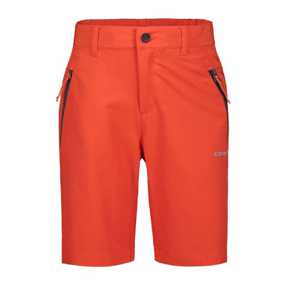 ICEPEAK Konz Shorts