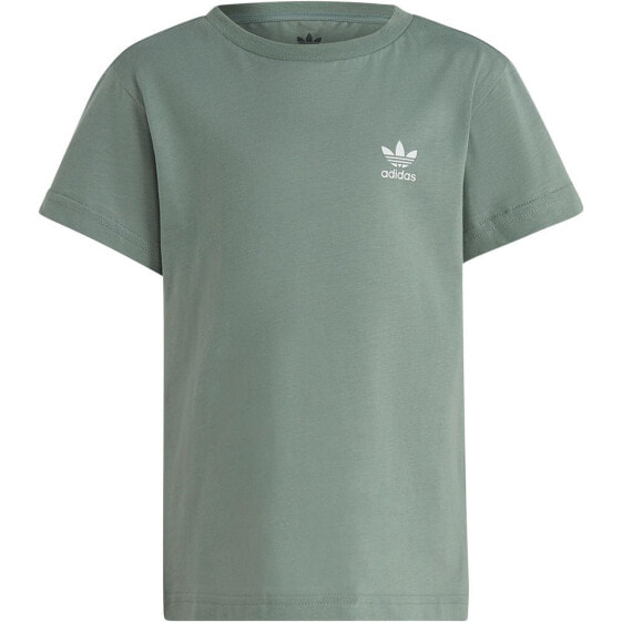 ADIDAS ORIGINALS Adicolor short sleeve T-shirt