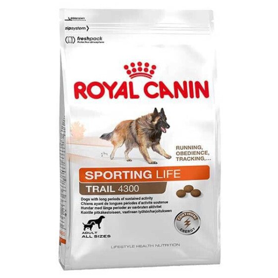 ROYAL CANIN Sporting Life Agility 4300 15kg Dog Food