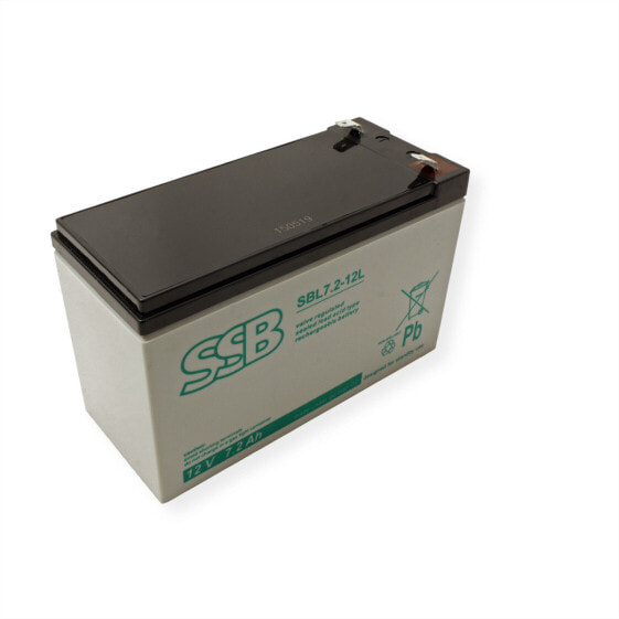 ROTRONIC-SECOMP Spezial Batterie für USV 12V/7Ah - UPS Accessory
