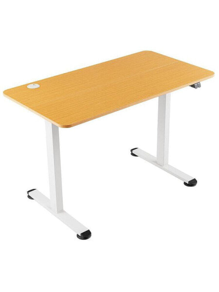 Electric Standing Desk Adjustable Stand up Computer Desk Anti-collision