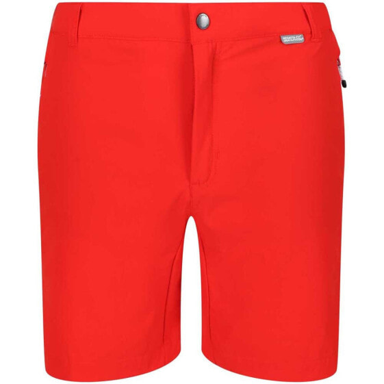 REGATTA Mountain II Shorts