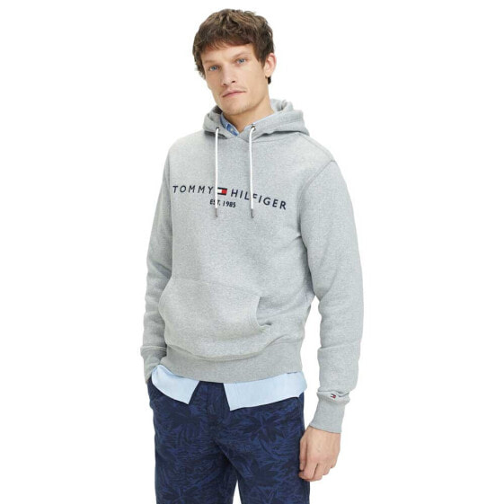 Толстовка Tommy Hilfiger Core Logo