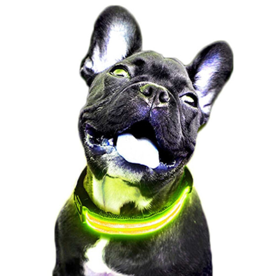 FREEDOG LED Collar