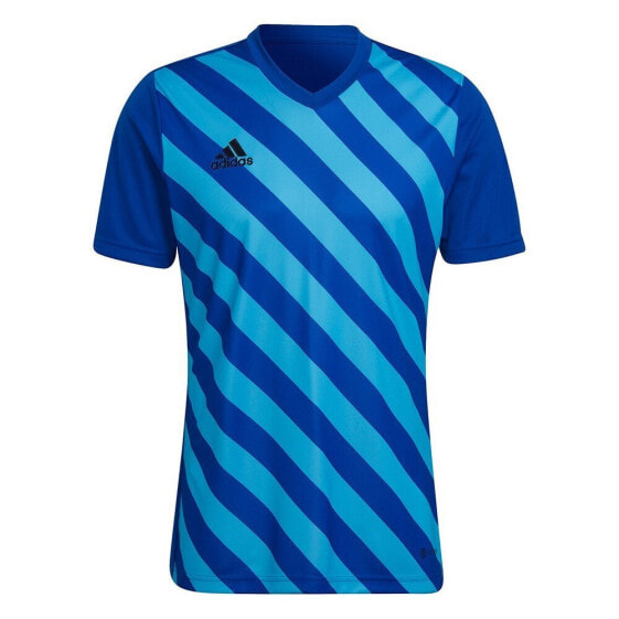 Футболка мужская Adidas Entrada 22