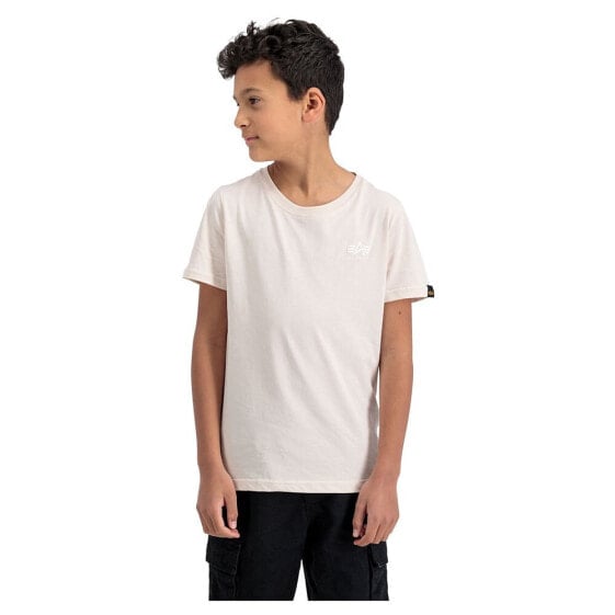 ALPHA INDUSTRIES Basic Small Logo short sleeve T-shirt