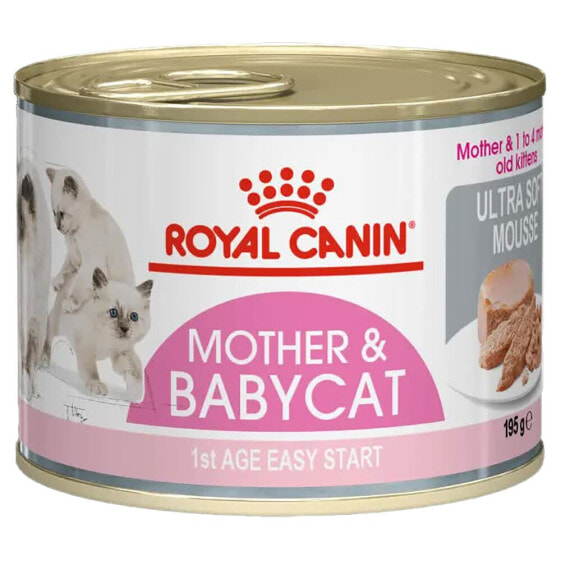 ROYAL Mother BabyBox 195g Cat Snack 12 Units