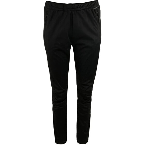 ALPINE PRO Grede Pants